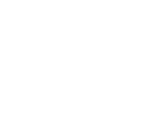 vast222